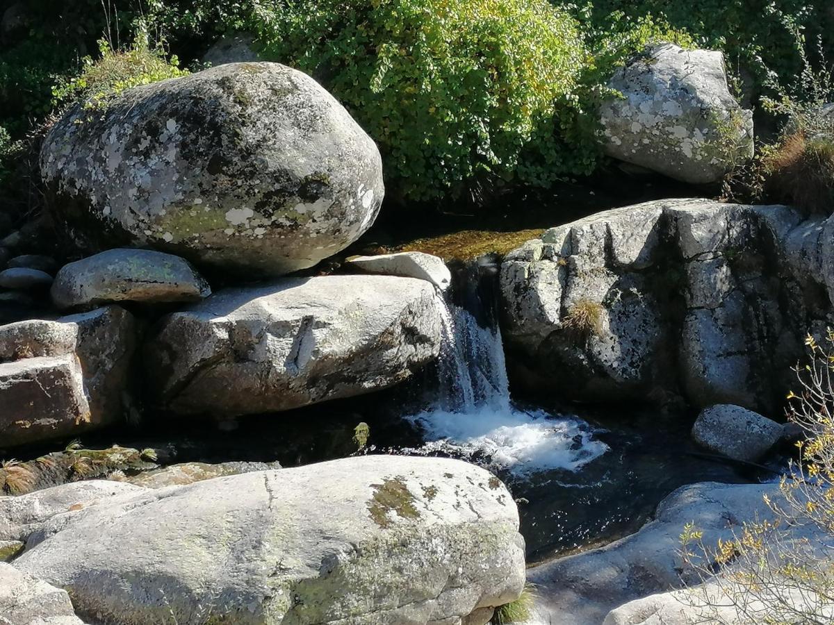 Casa Do Adro - Serra Da Estrela Cortes do Meio Eksteriør billede